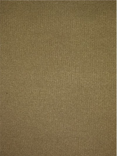 FJ-FRFE  12FH/FL562  魚鱗布  100％滌綸  210GSM 正面照